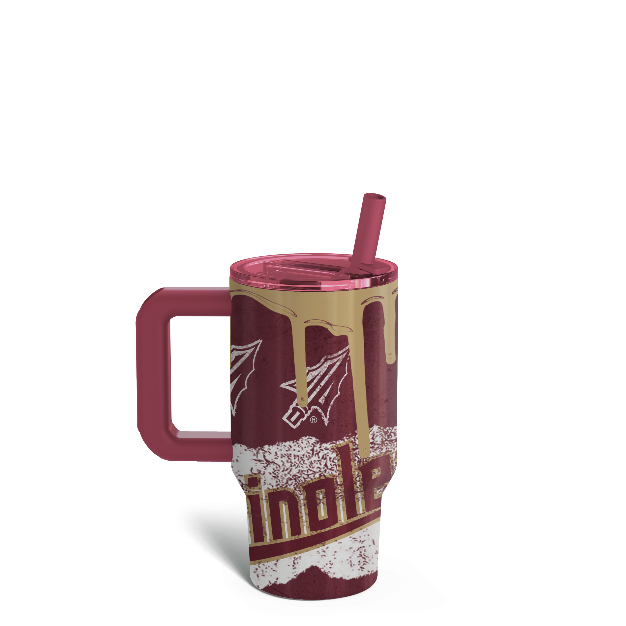 FSUBack_253830f1-1722-4c95-aeb0-bbcc30be9c9a-scaled-1.png